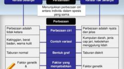 Variasi Makanan Sehat untuk Ibu Menyusui: Sayuran Lain yang Bantu Produksi ASI