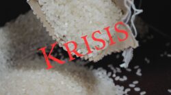 Kekurangan Beras Akibat Pembelian Berlebihan