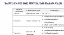 Perhatikan! Syarat dan Besaran Bantuan Pendidikan PIP Madrasah 2025