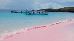 Pantai Pink Bima, Pesona Langka yang Wajib Dikunjungi