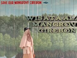 Mundu Mangrove: Surga Tersembunyi di Pesisir Cirebon