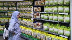 Beras Langka, Harga Rp 18.550 per Kilogram di Papua