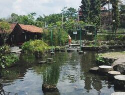 Menikmati Seru Bermain Air dan Memancing di Umbul Tlatar Kebonbimo, Boyolali, Jateng