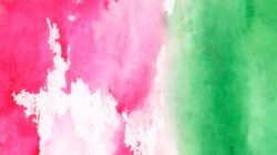 Mengapa Pink dan Hijau Selalu Terlihat Menarik? Psikologi Warna yang Menjelaskan Kekuatan Kombinasi Ini