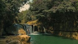 Curug Panetean Tasikmalaya: Wisata, Tiket, dan Keindahan