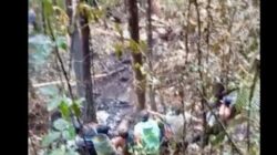 Helikopter PK-RGH Hilang di Tanah Bumbu Kalsel Ditemukan
