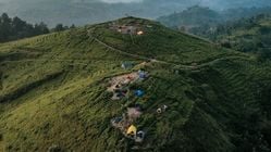 5 Alasan Pendaki Pemula Tertarik ke Gunung Pangradinan: Surga di Jawa Barat