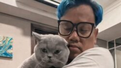 14 Kucing Uya Kuya Pulang, Satu Masih Dirawat di Puskeswan Ragunan