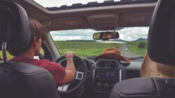 7 Tips Perjalanan Aman Tanpa Masalah! Rahasia Hindari Mabuk Jalan