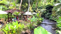 Ukier Plawang, Wisata Tersembunyi Sleman: Restoran Asri dengan Sungai Jernih untuk Healing dan Kulineran