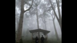 Menikmati Petualangan Jungle Tracking di Sumber Agung Bandar Lampung