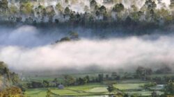 4 Tempat Wajib Kunjungi di Sulawesi Tengah untuk Kehidupan Tenang