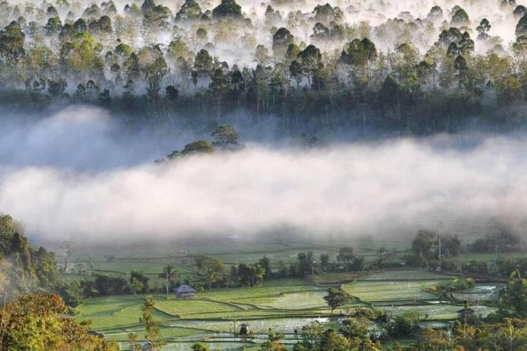 4 Tempat Wajib Kunjungi di Sulawesi Tengah untuk Kehidupan Tenang