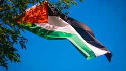 Mengapa Portugal Akui Palestina? Fakta Mengejutkan di Balik Keputusan Bersejarah!