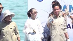 Wapres Gibran Ikut Panen Lobster di Batam, Ajak Pemuda Terlibat dalam Riset