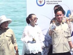 Wapres Gibran Ikut Panen Lobster di Batam, Ajak Pemuda Terlibat dalam Riset