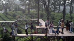 Puncak Masuk Daftar Wisata Desa Terbaik Asia