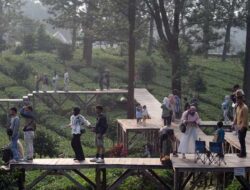 Puncak Masuk Daftar Wisata Desa Terbaik Asia