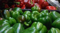 Siapa Sangka Paprika dan Ubi Jalar Bisa Melindungi Penglihatan