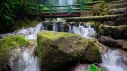 5 Rekomendasi Air Terjun Karanganyar, Mulai dari Tersembunyi hingga Ramai
