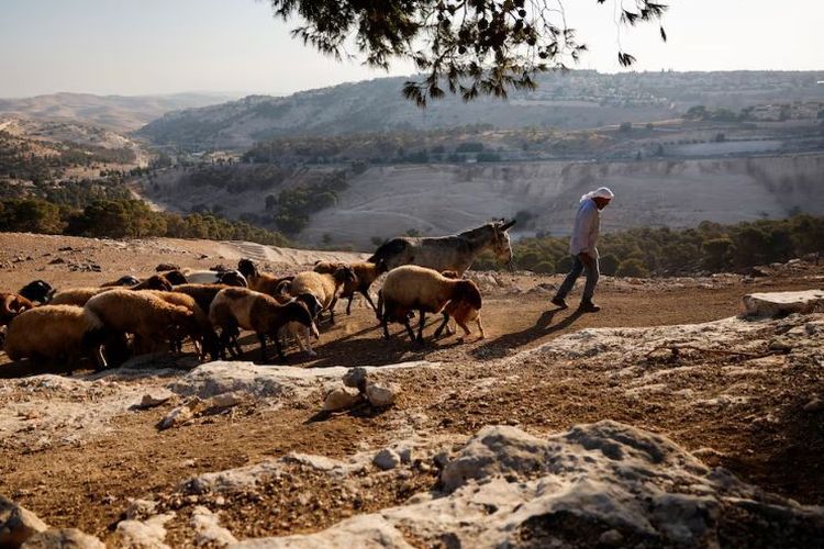Pemukiman Israel Meluas, Komunitas Bedouin Terancam Diusir