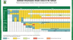 Jadwal CPNS 2025: Persyaratan, Pendaftaran, dan Tahapan Seleksi