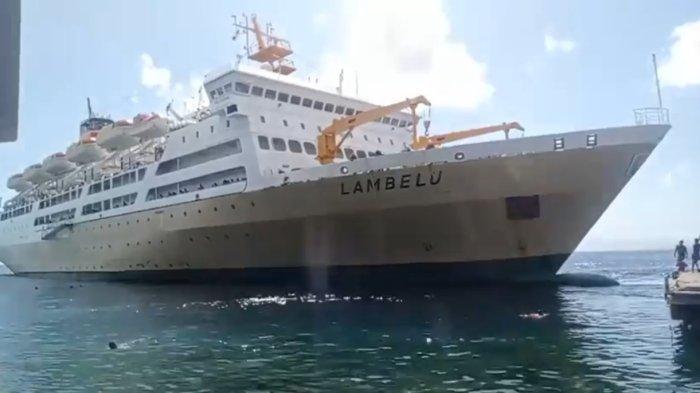 Jadwal Kapal PELNI KM Lambelu Oktober 2025: Rute Lengkap, Syarat, dan Harga Tiket