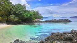 Pulau Kepa – Surga Bawah Laut Tersembunyi di NTT