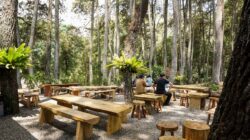 Penginapan Maribaya: Surga Petualangan dan Ketenangan di Hutan Pinus Bandung