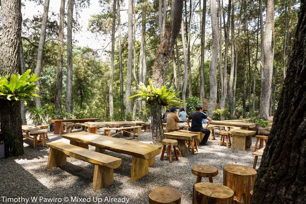 Penginapan Maribaya: Surga Petualangan dan Ketenangan di Hutan Pinus Bandung