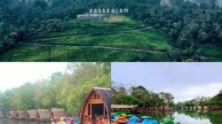 Mau Liburan Akhir Pekan yang Berkesan? Coba Jalur Viral di Hutan Cikadu, Jalan Menuju Kabut