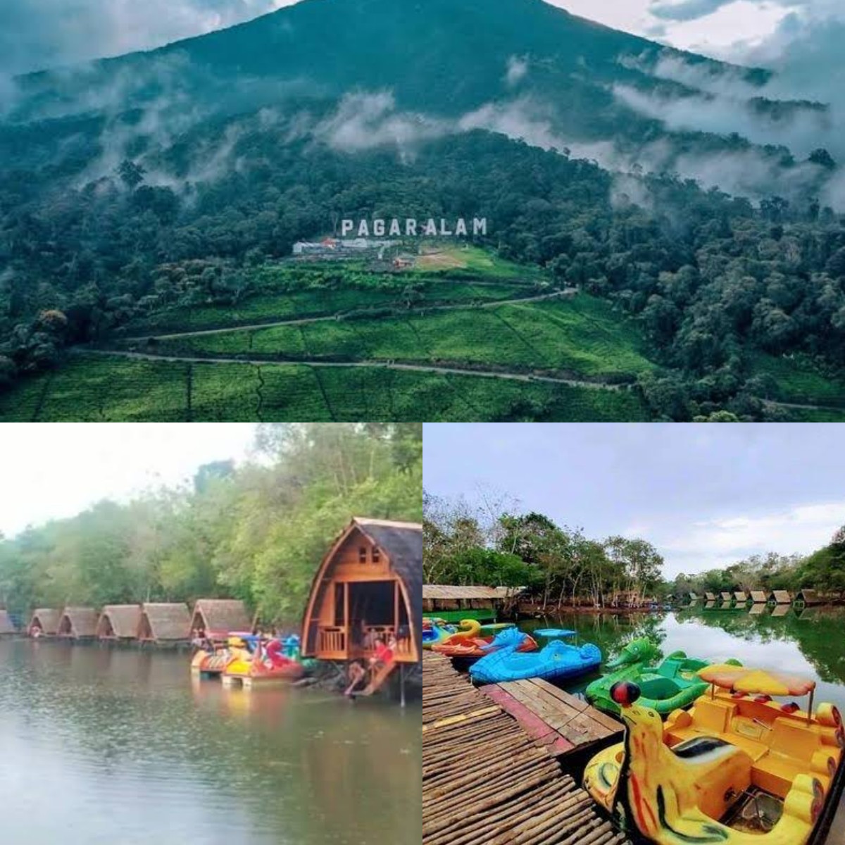 Mau Liburan Akhir Pekan yang Berkesan? Coba Jalur Viral di Hutan Cikadu, Jalan Menuju Kabut