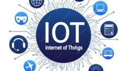 IoT Masuk Kandang Kelinci, Dosen ASIA Malang Bantu Peternak Kota Batu Manfaatkan Teknologi