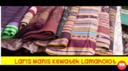 Cara Cek Hasil SKD STIS 2025 dan 2 Link Pengumuman, Ini Tahap Berikutnya bagi Peserta Lolos