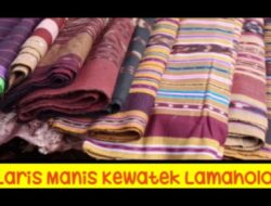 Cara Cek Hasil SKD STIS 2025 dan 2 Link Pengumuman, Ini Tahap Berikutnya bagi Peserta Lolos