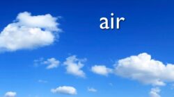 Air Rebusan Daun Kelor: Rahasia Kesehatan Alami