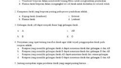 Berapa Hari Menunggu SKTPG? Ini Penjelasan Kemendikdasmen Soal TPG Triwulan 3 2025