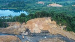 Ini Catatan Auriga Nusantara Soal Tren Deforestasi yang Naik Lagi