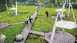 8 Kafe Populer Jogja Harga Terjangkau Fasilitas Lengkap