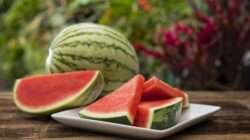 Apakah Semangka Cocok untuk Diet? Ini Temuan Penelitian