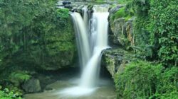 6 Air Terjun Terindah di Ubud, Ideal untuk Liburan Alam di Bali