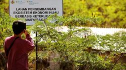 PLN EPI Bakal Bangun 5 Pabrik Produk Biomassa Bareng Perusahaan Polandia