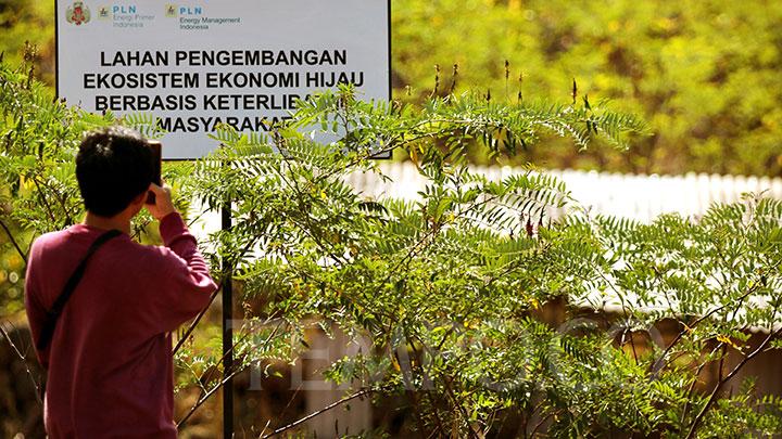 PLN EPI Bakal Bangun 5 Pabrik Produk Biomassa Bareng Perusahaan Polandia